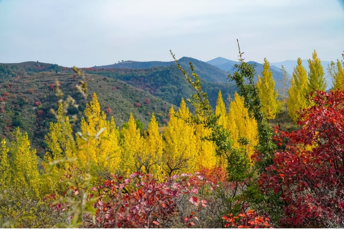 最好的风景是山里走走,最好的旅游风景在路上