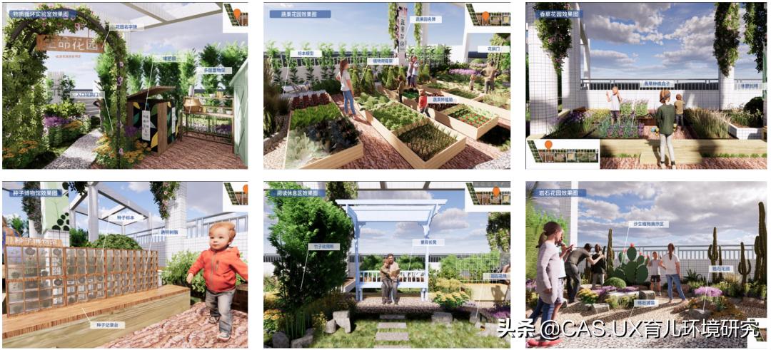 CAS儿童空间|生命花园:在校园屋顶打造感知自然的实验场