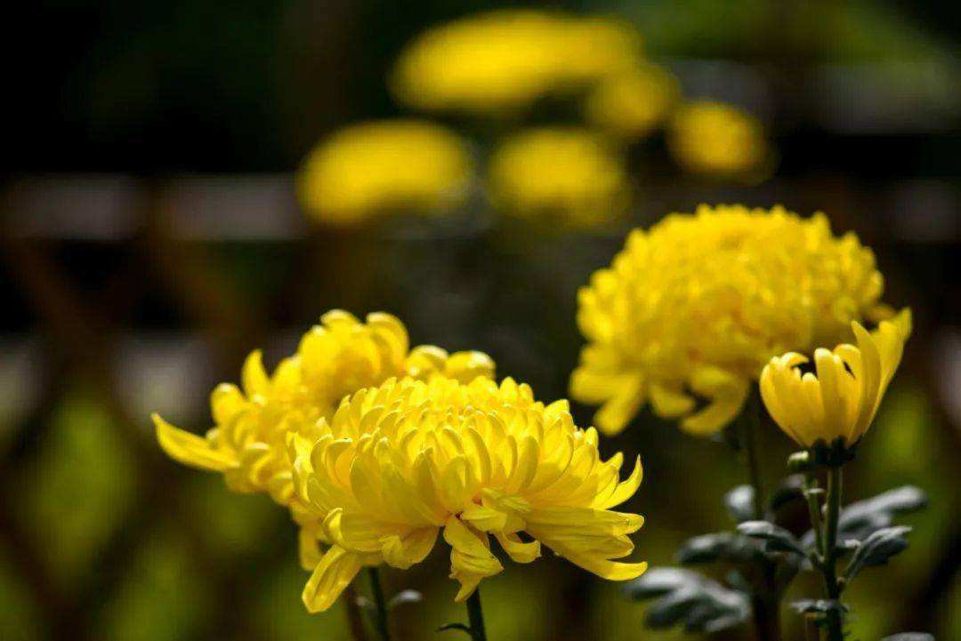 关于人生相遇的古诗词,关于不期而遇的古诗词