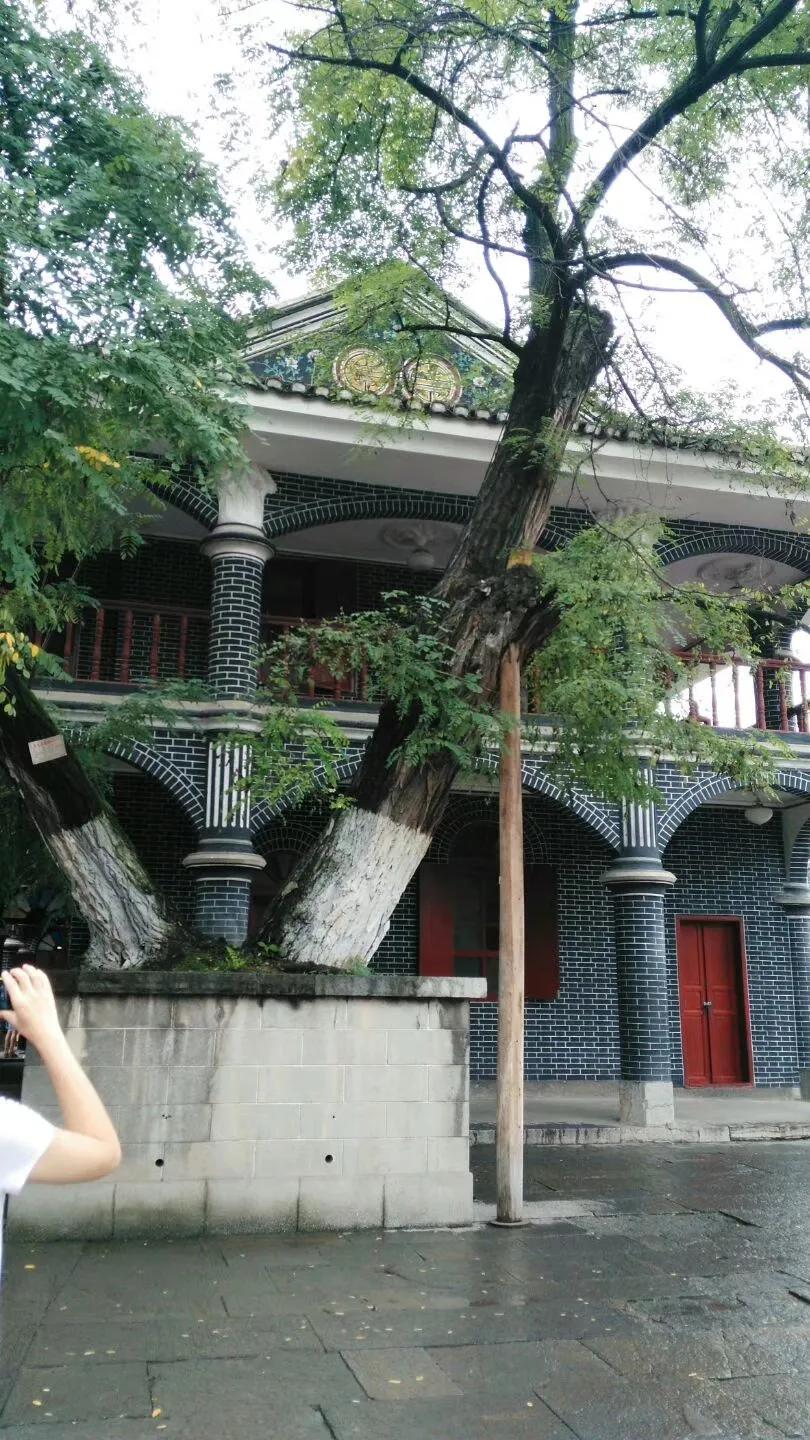 带孙女去贵阳玩,带着孙女自驾全国游