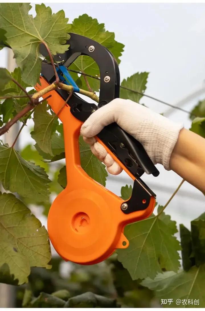园艺绑枝条捆绑器,园艺捆绑机