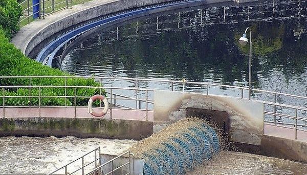 返乡创业都有哪些项目,年轻人返乡创业项目有哪些