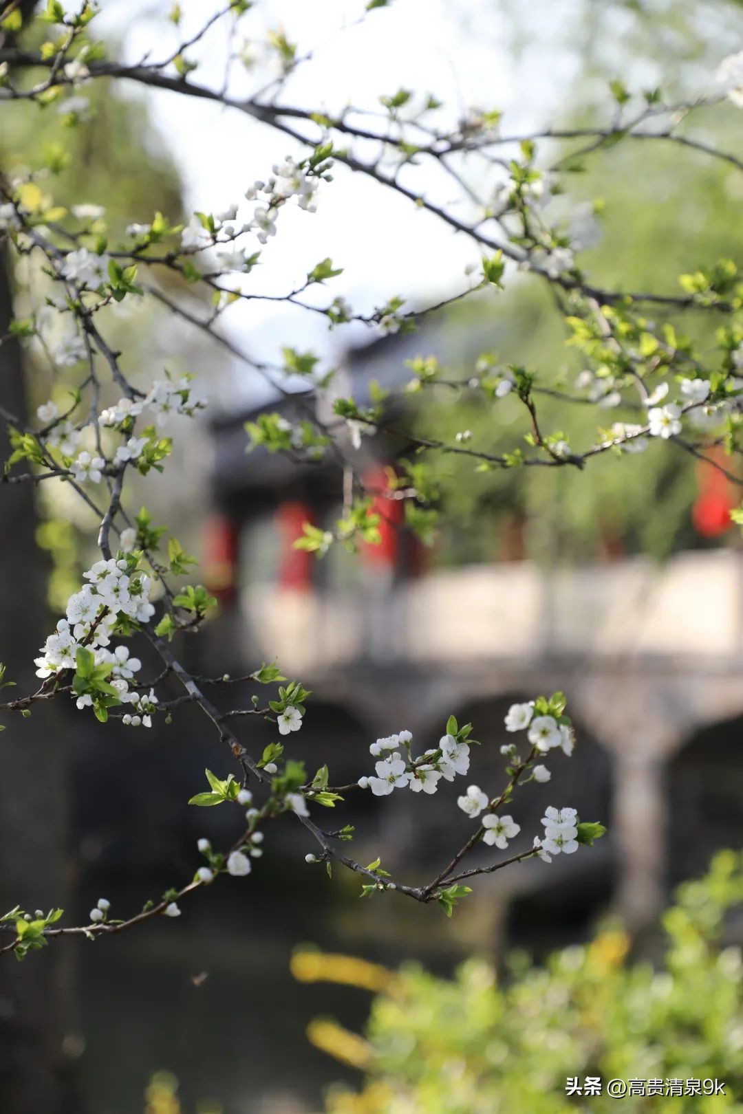 鐭湡鏃呮父鏀荤暐閰掑簵鎺ㄨ崘,涔愬北灏忎紬韪忔槬鎵撳崱鍦扮偣鎺ㄨ崘