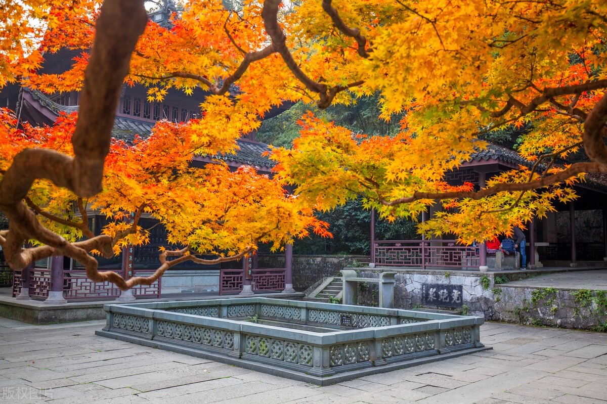 部编版九上语文目录,送东阳马生序原文