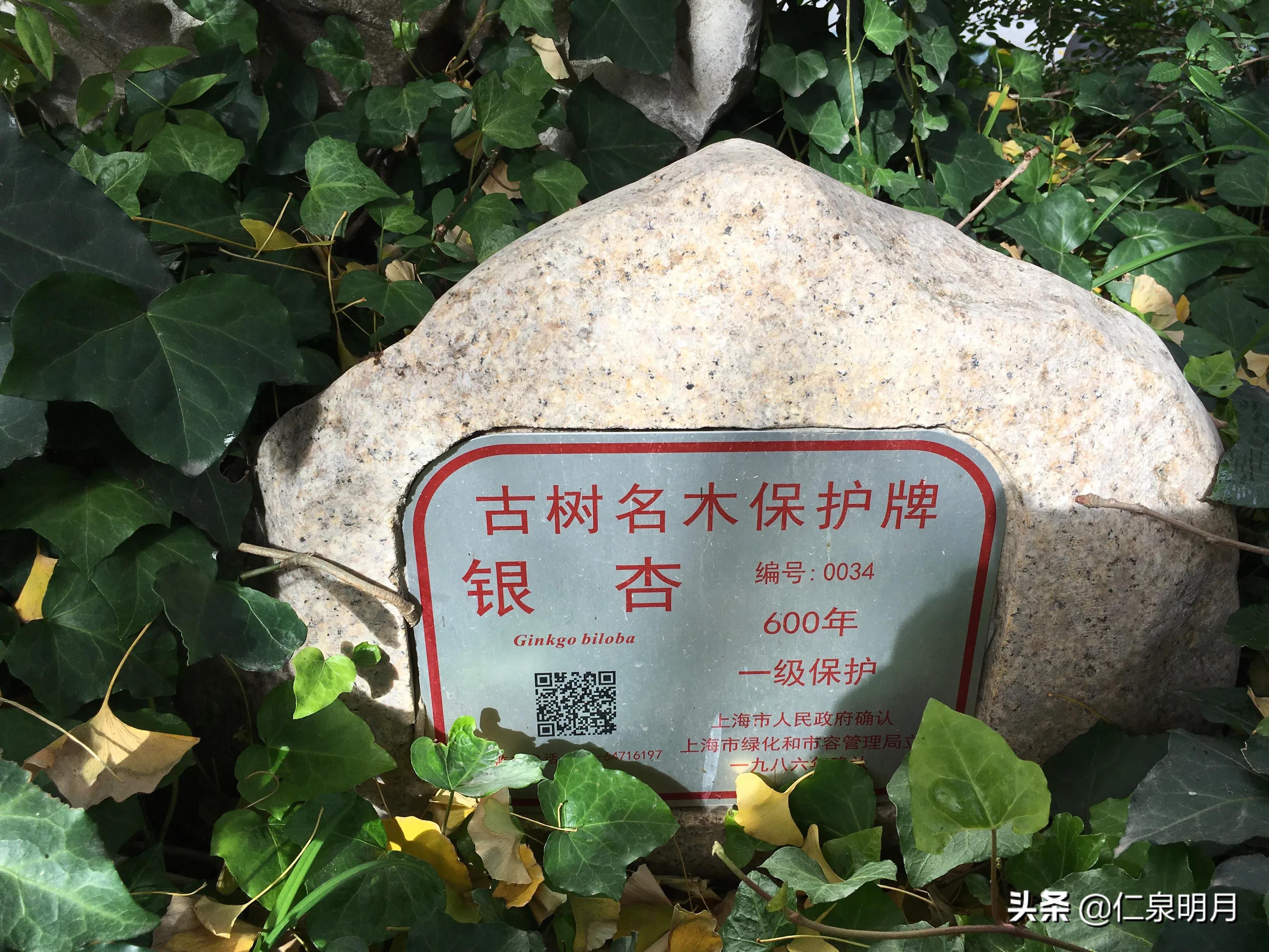 南桥二严寺洗心之行