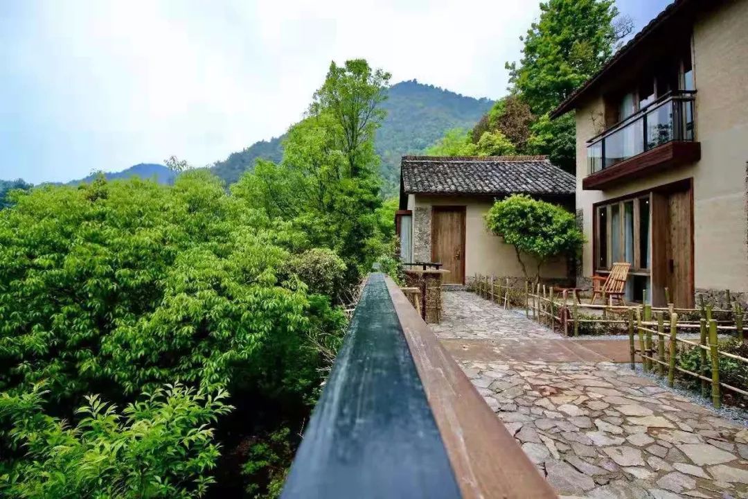 丽水松阳最好的民宿,松阳顶级民宿排名