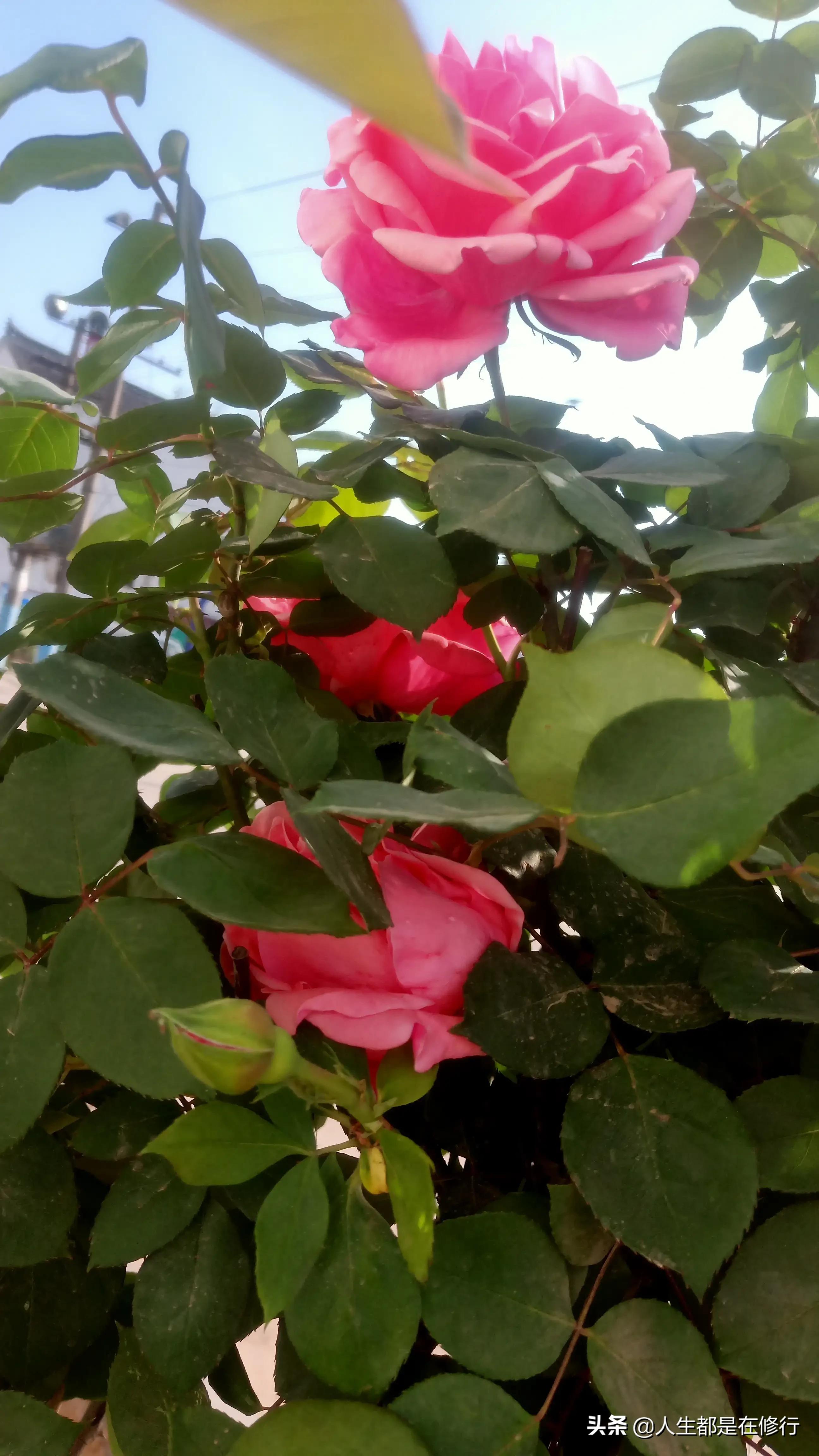 教大家一种拒绝的方法,拒绝别人的七个技巧教学