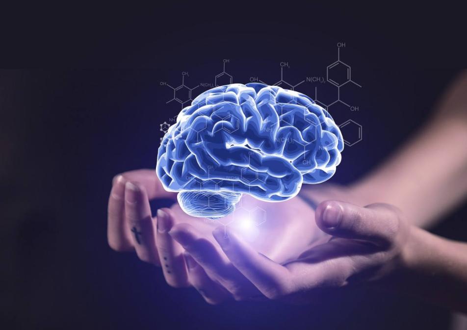 年龄大了得了脑萎缩该如何解决,50多岁轻微脑萎缩要注意什么