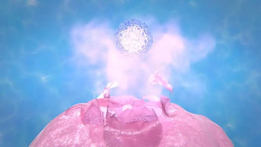 经期已经过了又出血是什么情况,两次经期中间白带有血丝