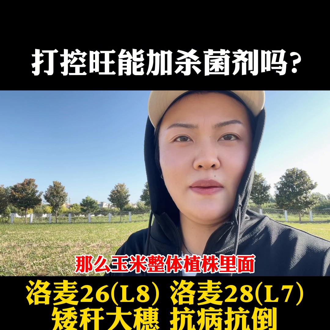 玉米控旺剂品种大全,洛玉612玉米种审定公告