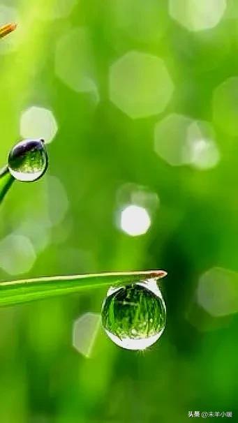 超清超美独一无二手机壁纸图片,养眼养心的壁纸