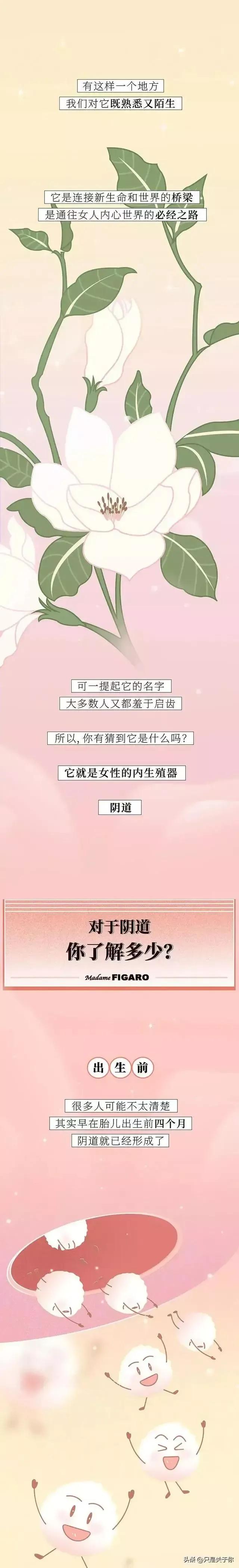 关于阴道的知识男女都应了解下