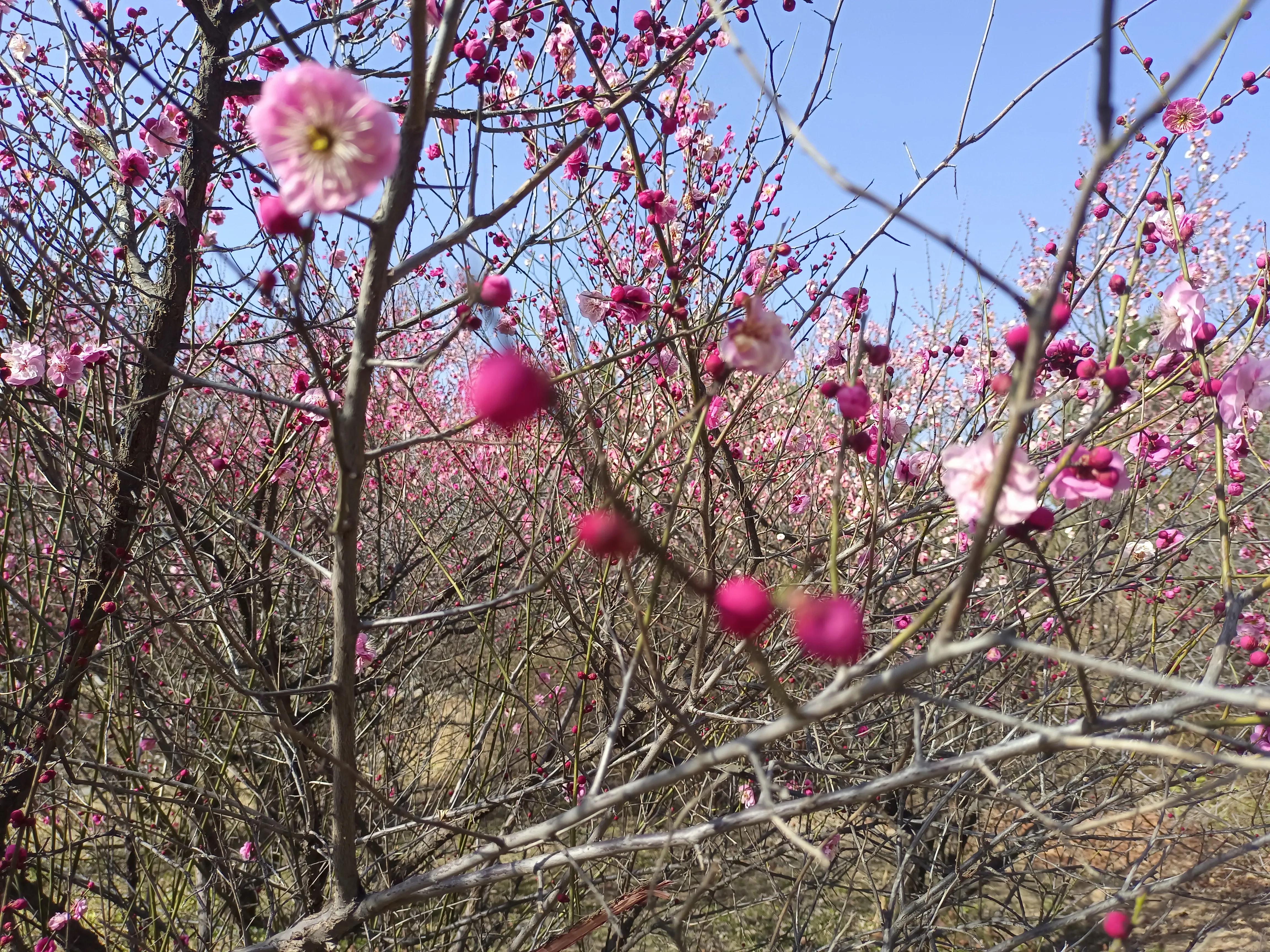 初中数学中考题易错题,初中数学易错的概率题