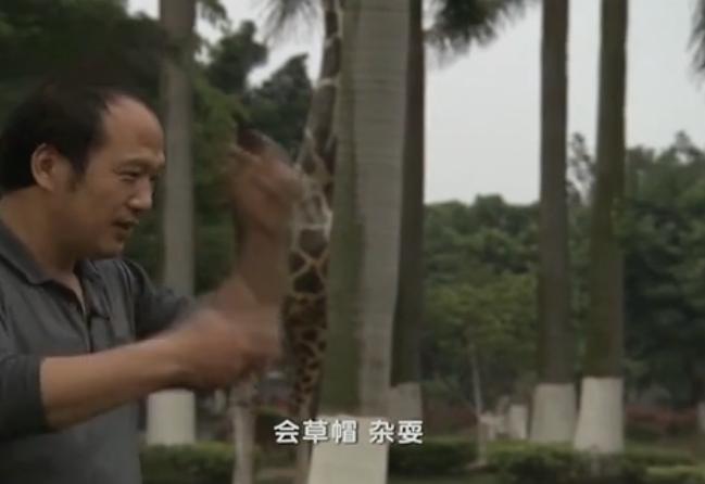 2013年，男孩与蟒蛇同居8年，蟒蛇趁人不注意跑到邻居女孩床上