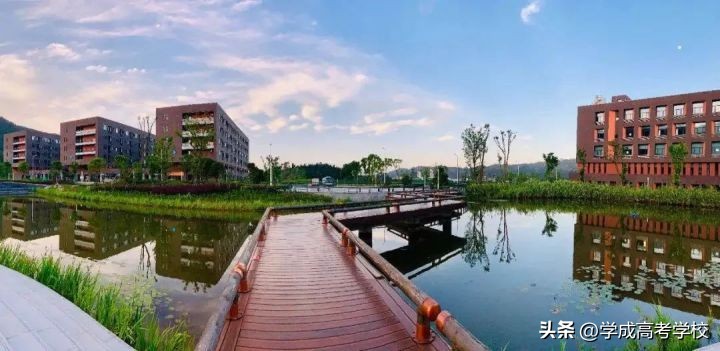 四川高校数量及分布,四川的高校排名及所在地区