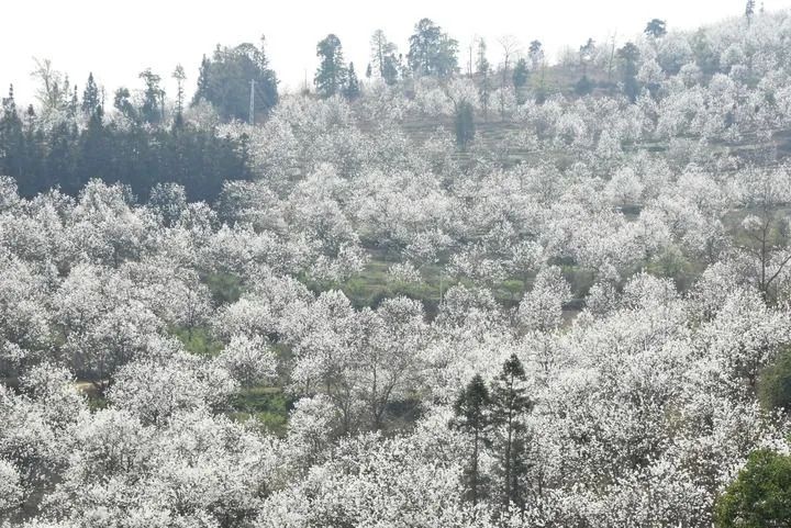 有一种生活叫做云南的生活,有一种叫云南的生活原文