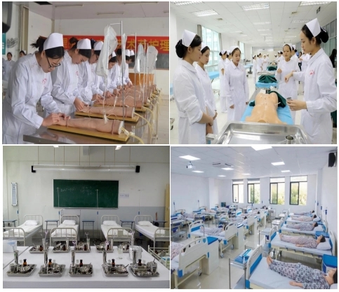 2023年文科可以报护士专业吗,2023年医护专业好找工作