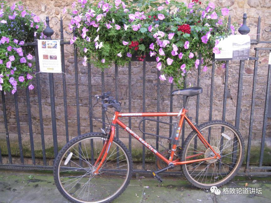 为什么达芬奇是世界上最好的画家 (达芬奇为什么能成为神奇的画家)