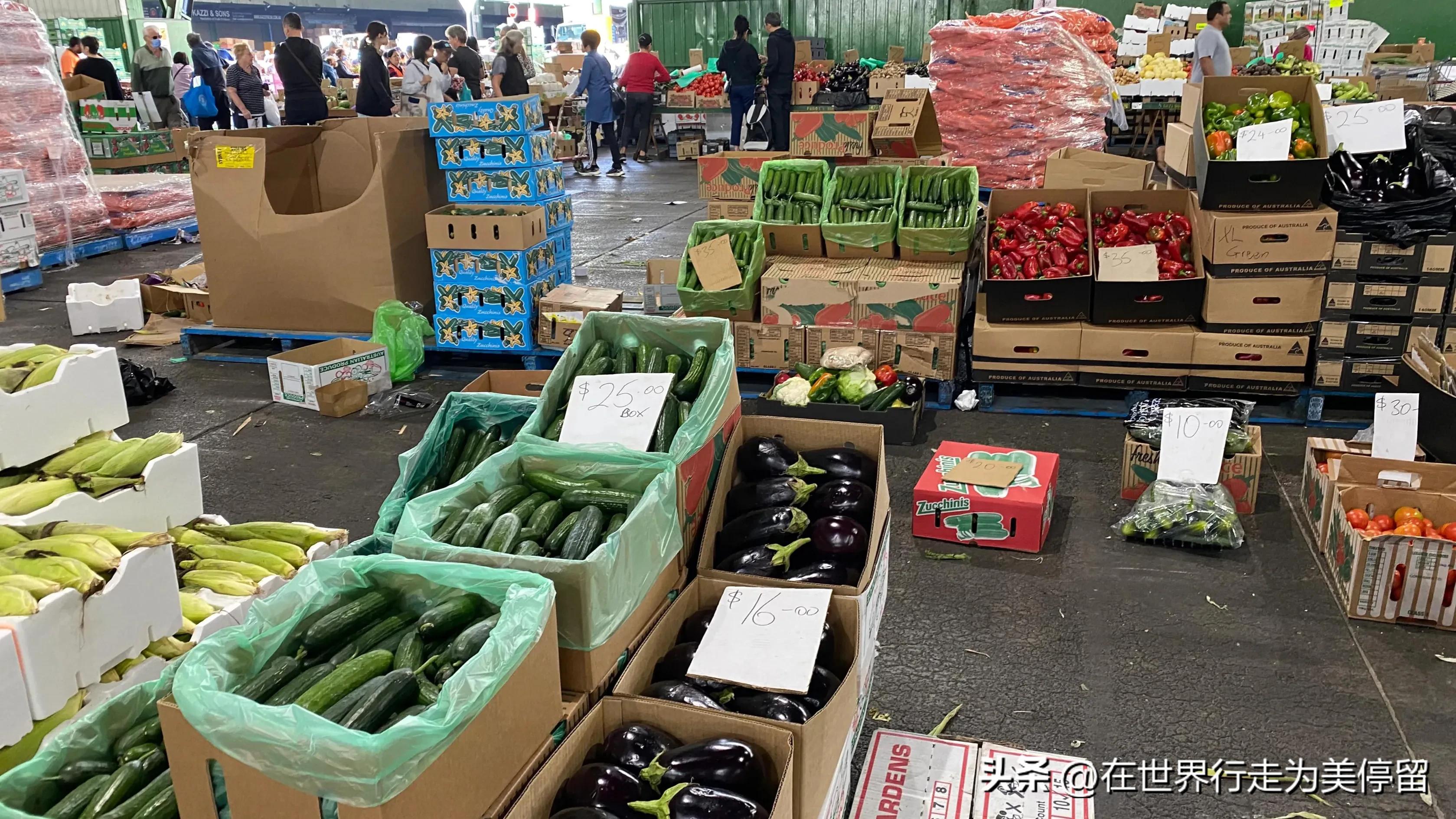 悉尼最大的蔬菜批发市场,悉尼蔬菜市场