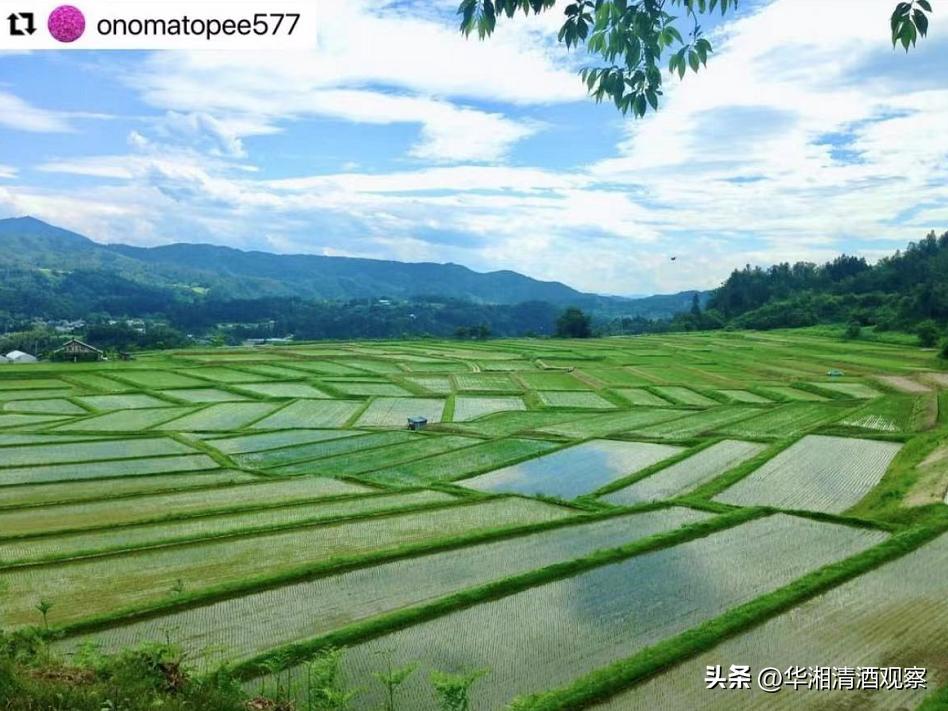 真正的山形地酒——出羽燦燦的诞生纪念