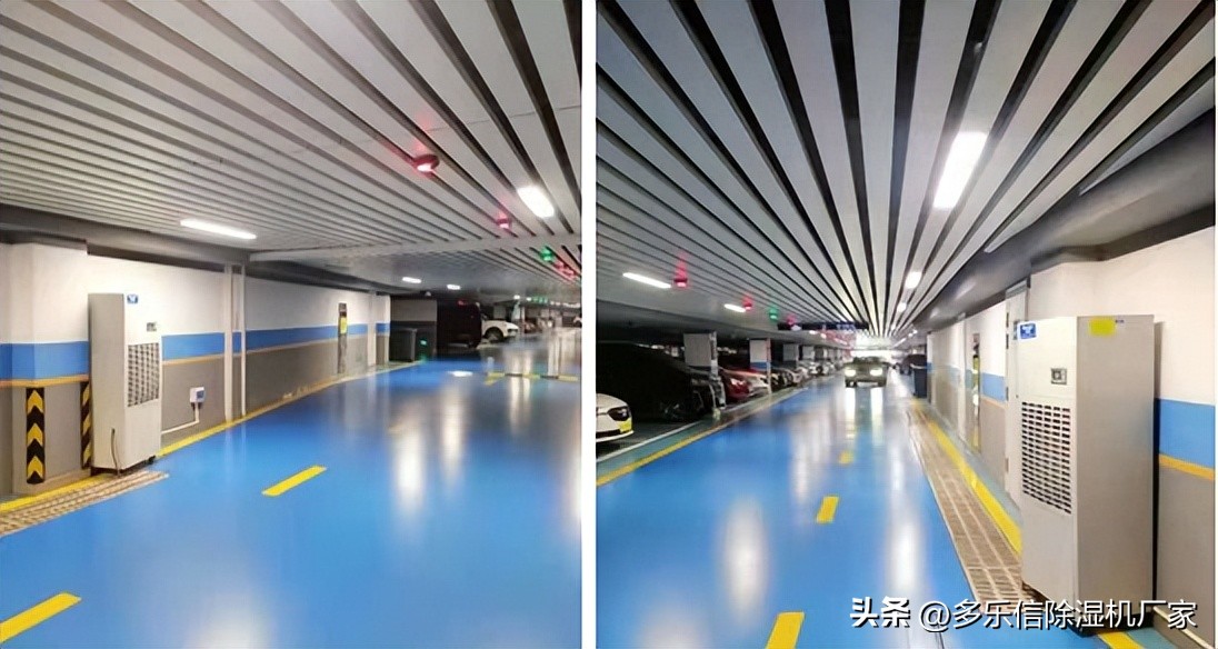 多乐信简介,多乐信地下室