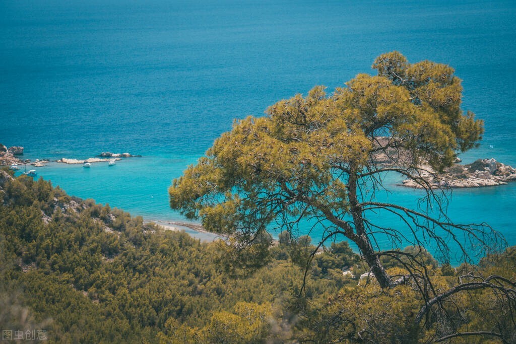 bpdq分不清楚怎么教,bpdq老是分不清