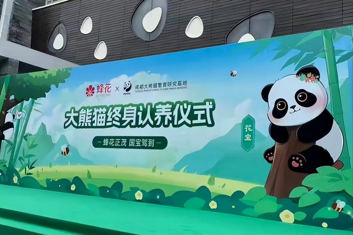 国货品牌蜂花认养大熊猫花宝,蜂花代言人熊猫