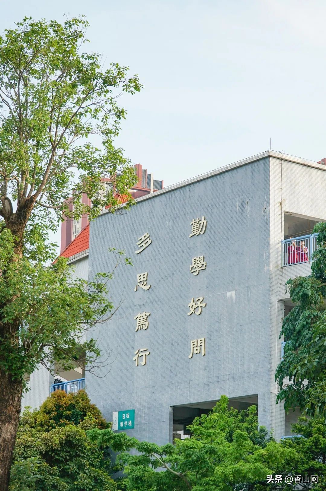 北师大珠海附中,三年青春在校园里