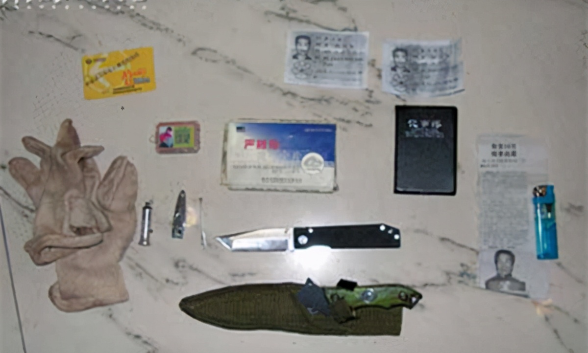 连环杀人案回顾,连环杀人案14年后破案