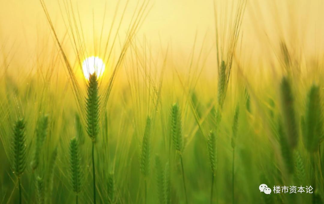 廊坊荣盛即将开盘的新楼盘,廊坊荣盛地产最新消息今天