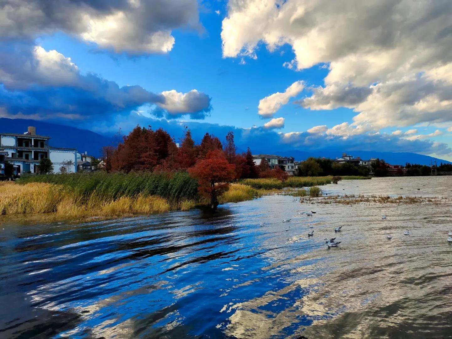 大理龙龛码头在哪里,大理龙龛码头民宿推荐