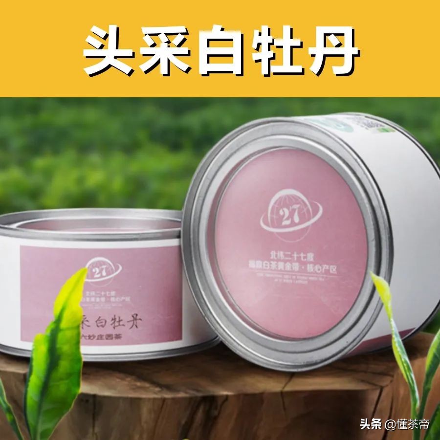 白茶品牌推荐这几款闭眼入不踩雷,闭眼买的白茶品牌