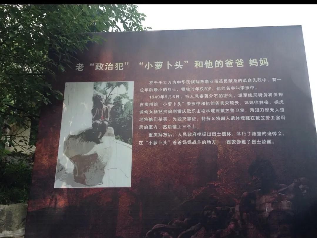 合肥青旅推荐,合肥青旅女生