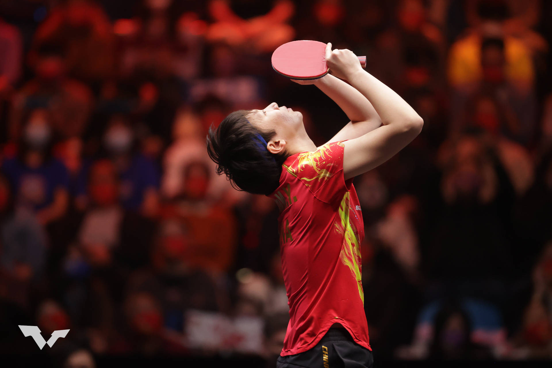 王曼昱换斯蒂卡新球板,王曼昱换底板豆瓣