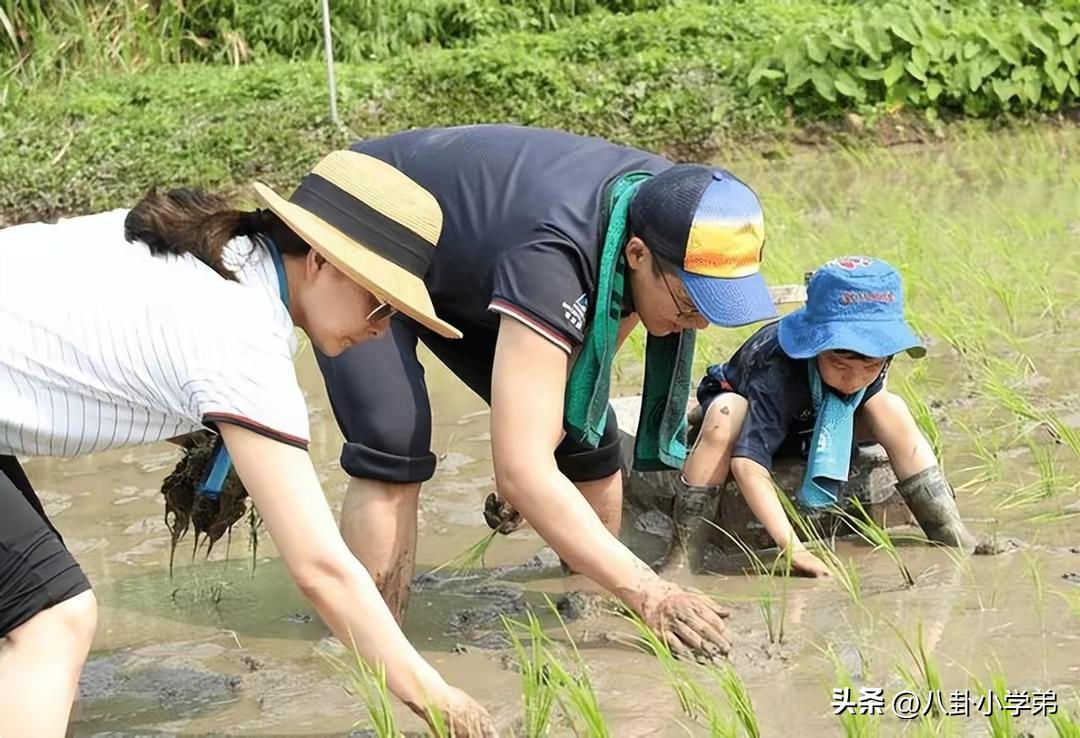 香港人对郭晶晶的态度,香港圈对郭晶晶的评价