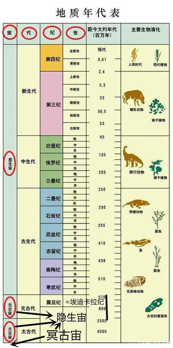 恐龙大世界全部恐龙,恐龙小科普之恐龙的冷知识