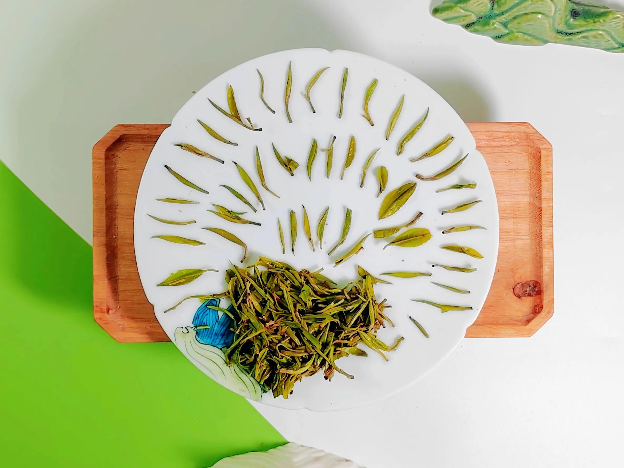 古丈毛尖大赛节目表,古阳河古丈毛尖怎么样