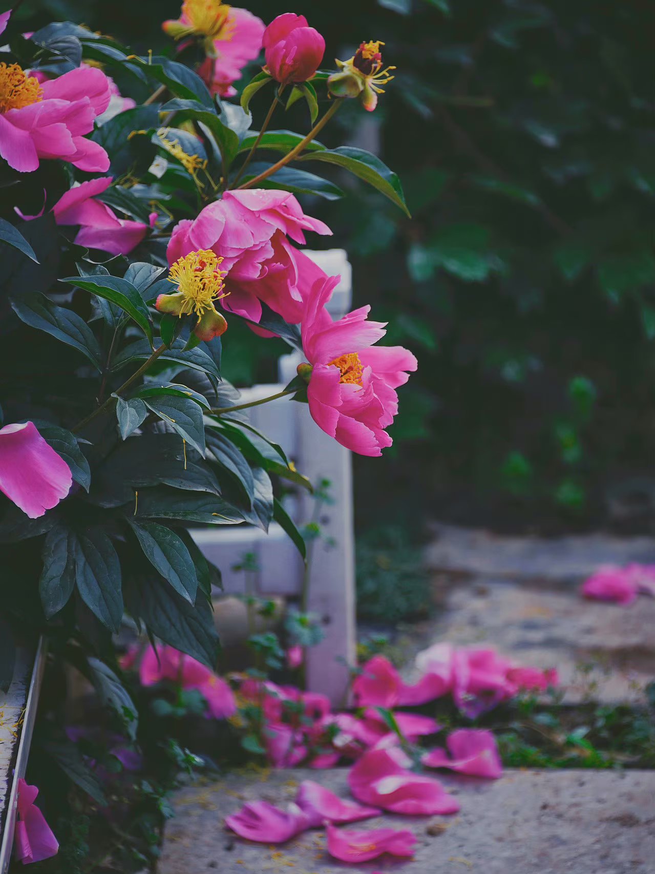 人生苦短其实不完美是生活的常态,人生无常一切都是最好的安排