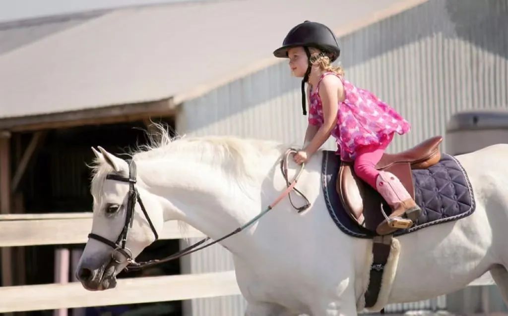 为什么马术的女生多,为什么女性骑手越来越多