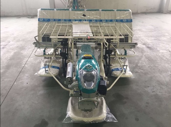 2023插秧机市场,本地精品插秧机厂家直销