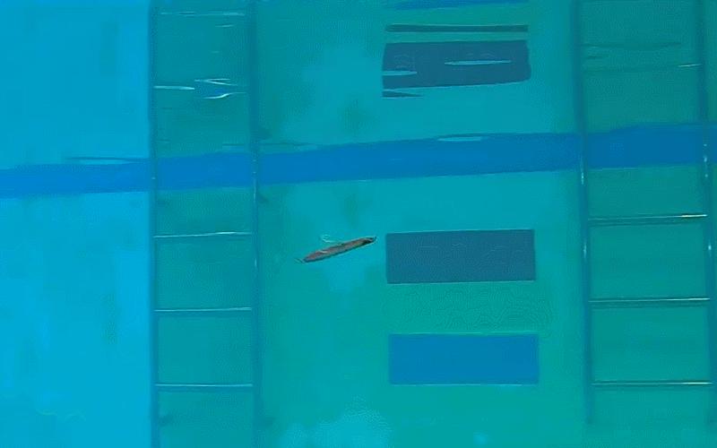 閽撻奔璧勮娓旀粙娓斿懗,娓斿叿琛屼笟鏂伴椈