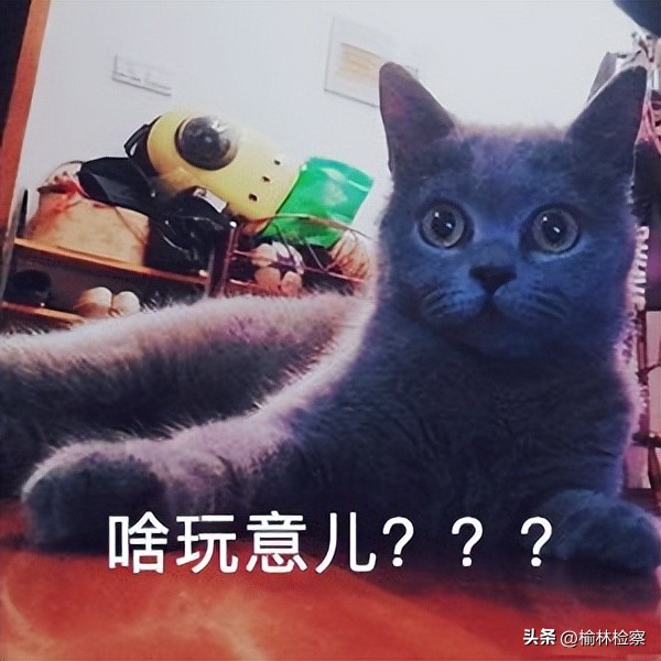 网购鞋子出现质量问题多久包退,网购鞋子第二天就破了怎么办