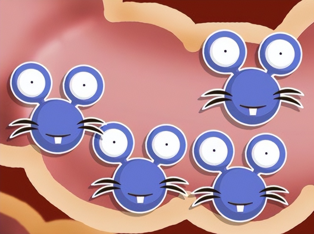 「WelcomeTo益生菌星球」本期星球成员：鼠李糖乳杆菌