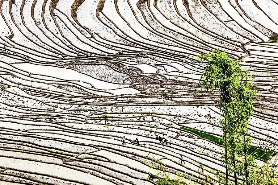 雨水哲理,雨水的好句