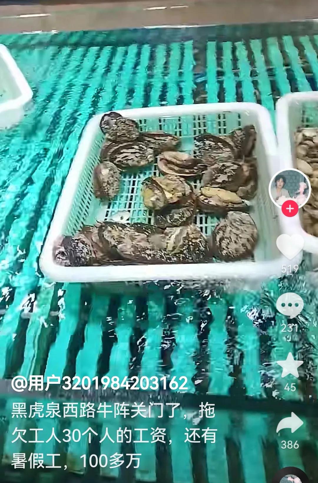 济南牛阵烧烤现状,济南牛阵黑虎泉店