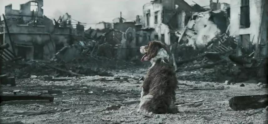 《无名》评价,无名恶意评分