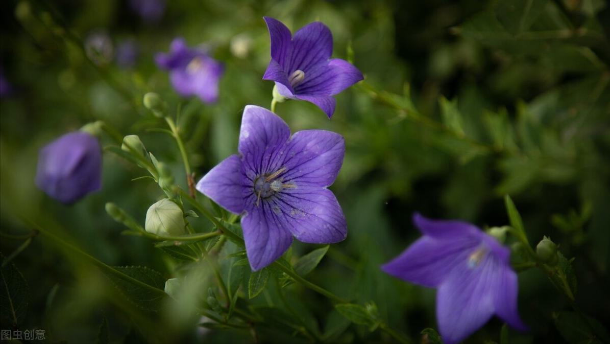 做好一名销售必须具备的几要素,如何做好一名业务销售