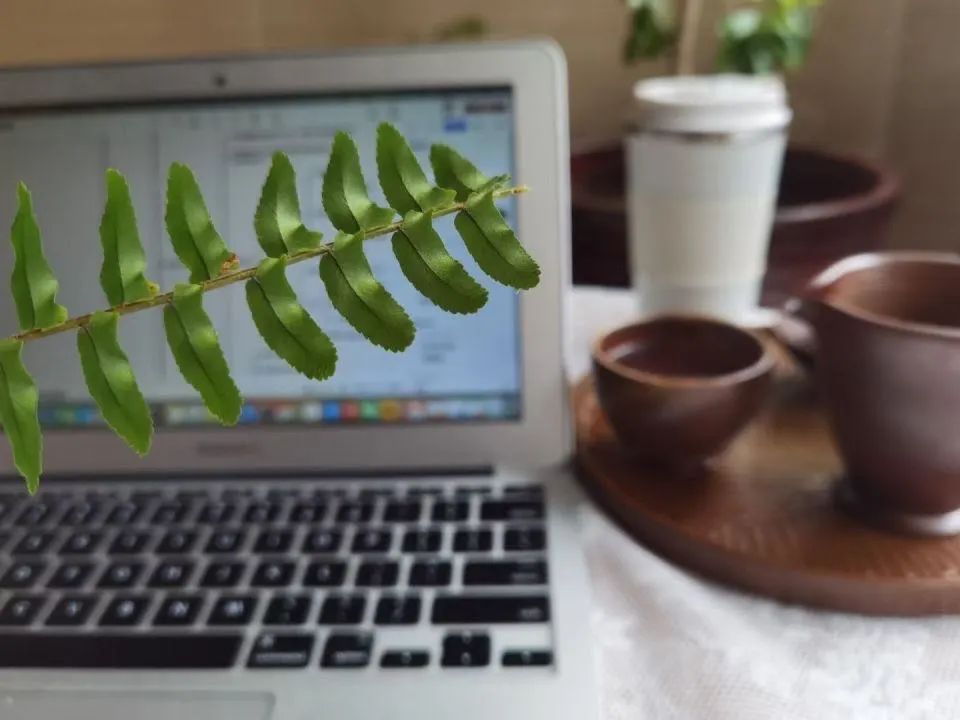 玩游戏一个月赚7000多,玩了几天游戏挣了一万