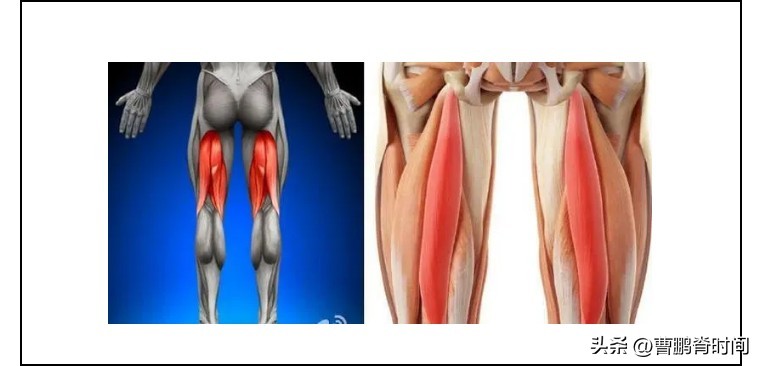 经常腰痛怎么办教你四招放松腰部,腰痛后如何让腰快速恢复正常