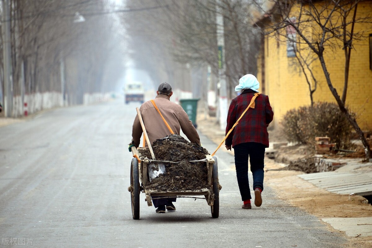 春土豆怎样种植和管理,春土豆种植怎么整地